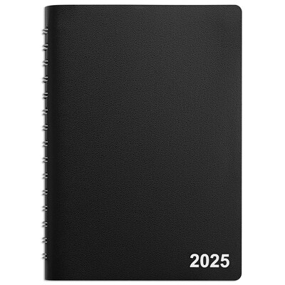 2025 Staples 5 x 8 Daily Appointment Book, Black (ST58452-25)