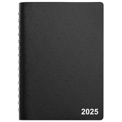 2025 Staples 5 x 8 Daily Appointment Book, Black (ST58452-25)