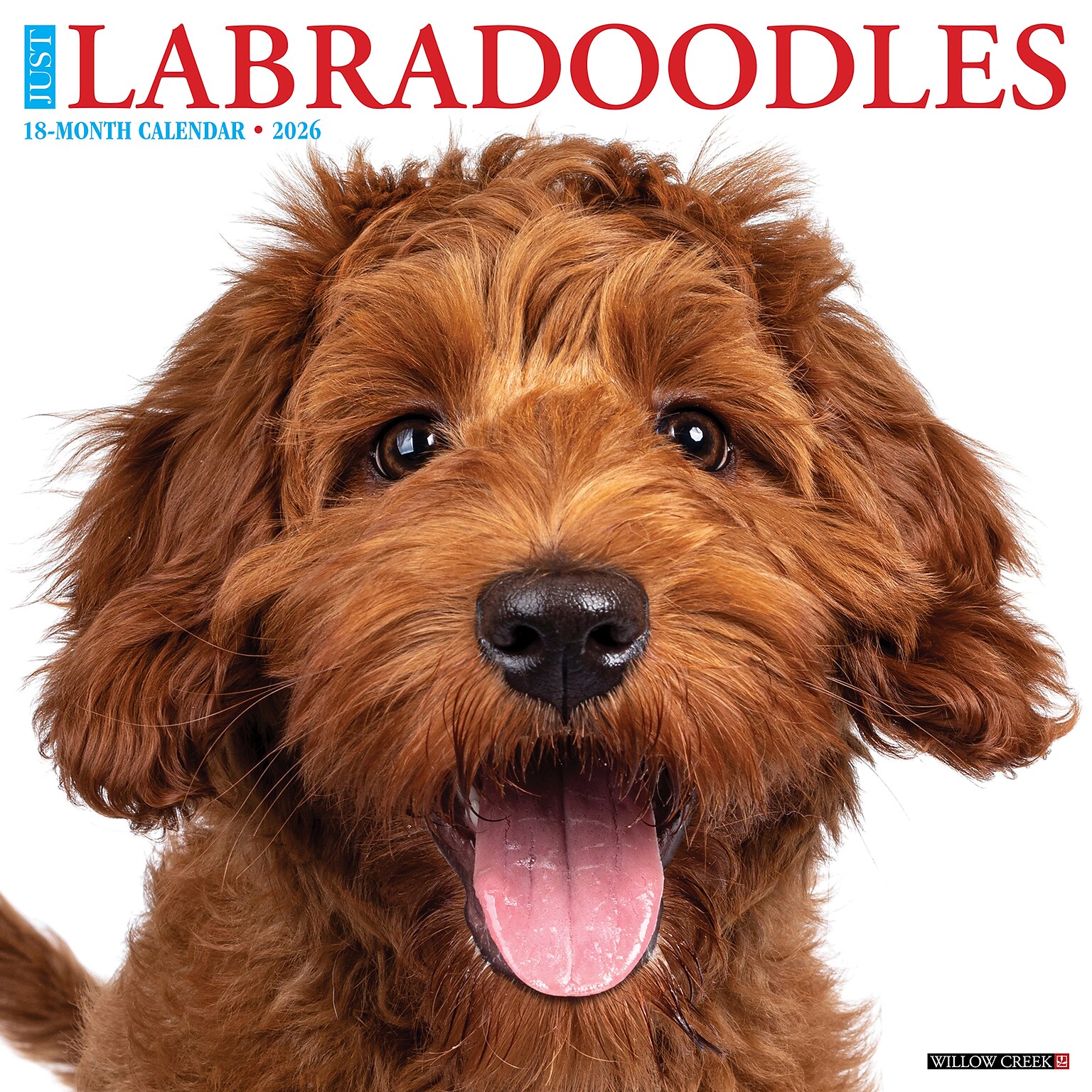 2026 Willow Creek Labradoodles 12 x 12 Monthly Wall Calendar (51726)