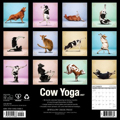 2027 Willow Creek Cow Yoga 12 x 12 Monthly Wall Calendar, Assorted Colors (59883)