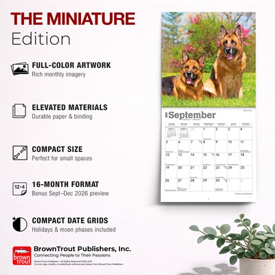 2027 BrownTrout German Shepherds 7" x 7" Monthly Wall Calendar, Assorted Colors (9798330710003)