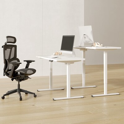 FlexiSpot ET155E 48"W Electric Rectangular Adjustable Standing Desk, White