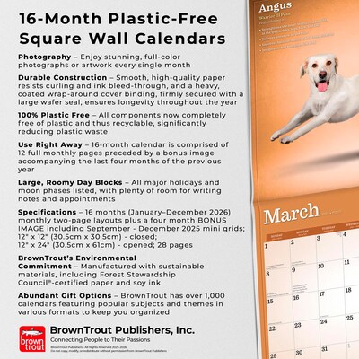 2026 BrownTrout Yoga Dogs 12" x 12" Monthly Wall Calendar (9798330701933)