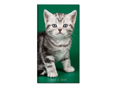 2023-2024 TF Publishing Kittens 3.5 x 6.5 Monthly Planner, Multicolor (PKT-23-7024)