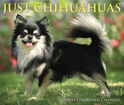 2025 Willow Creek Chihuahuas 6" x 5.5" Day-to-Day Calendar, Multicolor (40737)