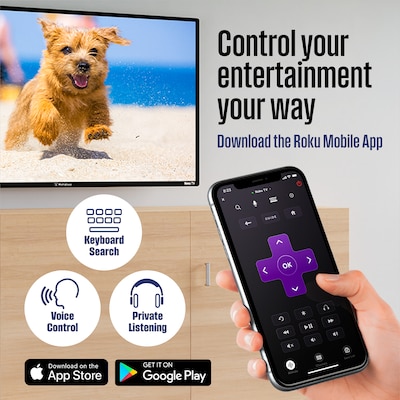 Westinghouse HX 24 720p Roku Smart TV