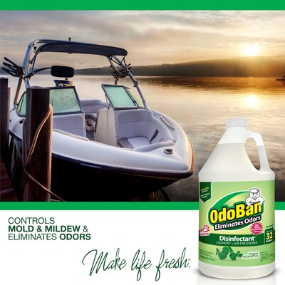 OdoBan Air Freshener & Deodorizer, Original Eucalyptus Scent, 1 Gallon (911061-G4)