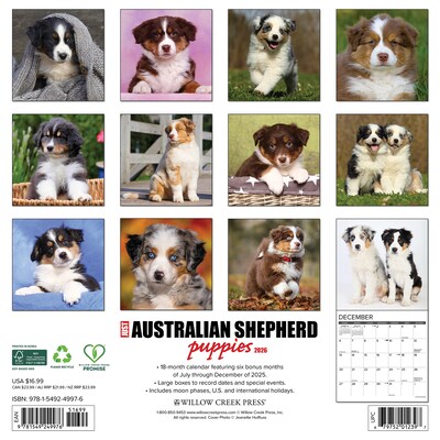 2026 Willow Creek Australian Shepherd Puppies 12 x 12 Monthly Wall Calendar (49976)