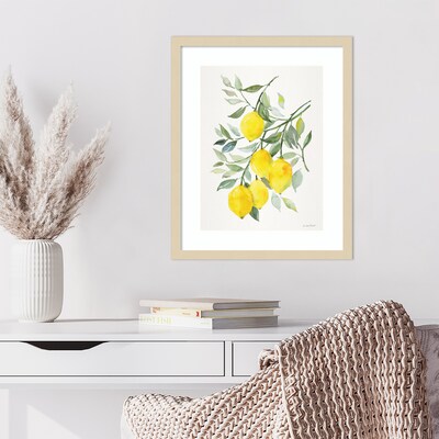 Amanti Art Lemon Citrus by Patricia Shaw Wood Framed Wall Art Print, 17" x 21" (A42675506061)