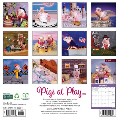 2026 Willow Creek Pigs at Play 12 x 12 Monthly Wall Calendar (52396)