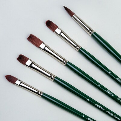 Silver Brush Ruby Satin Size 6 Variety Brush Set, 5/Pack (SLVRS2596)