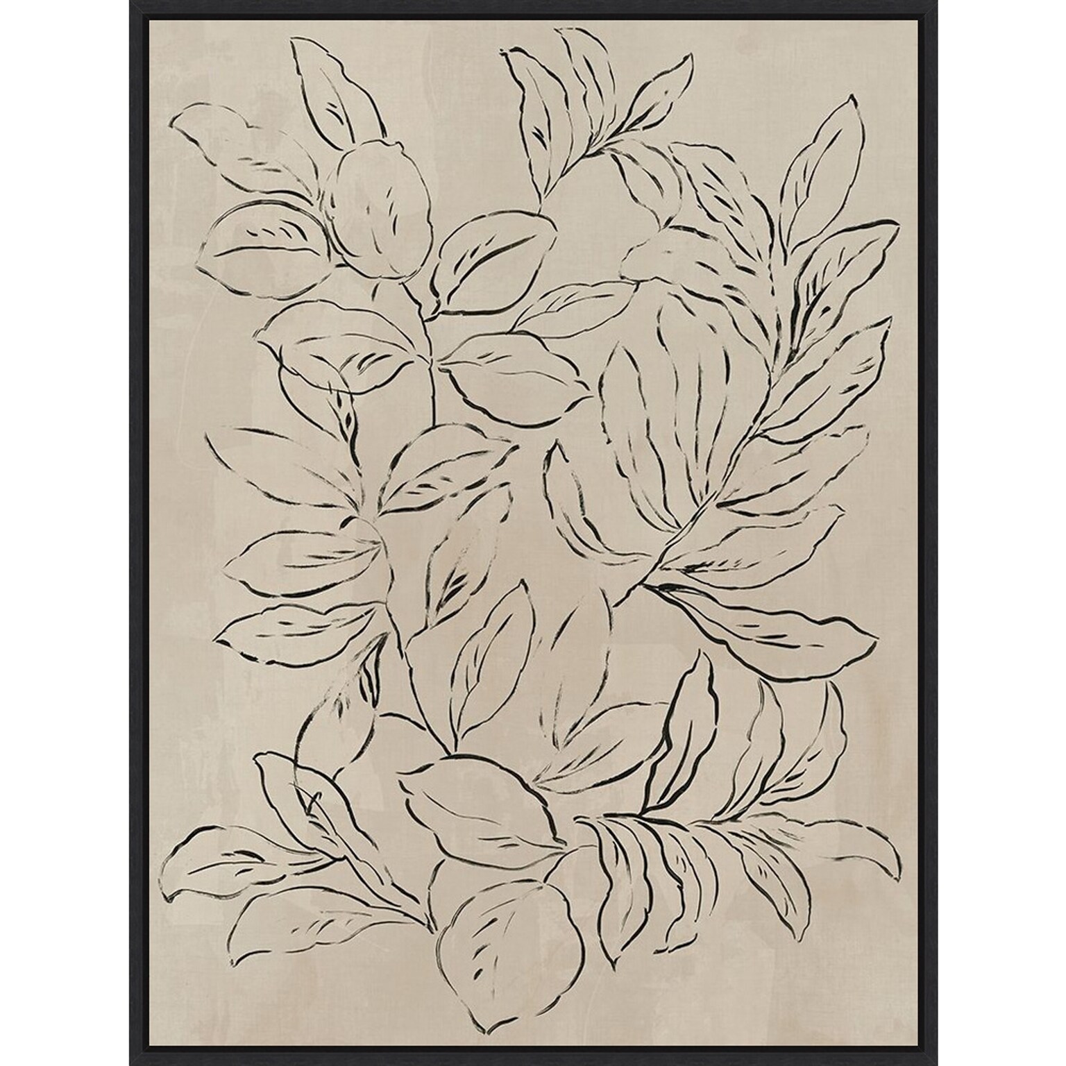 Amanti Art Outlined Leaves II by Asia Jensen Framed Canvas Wall Art Print, 32 x 42 (A42677748496)