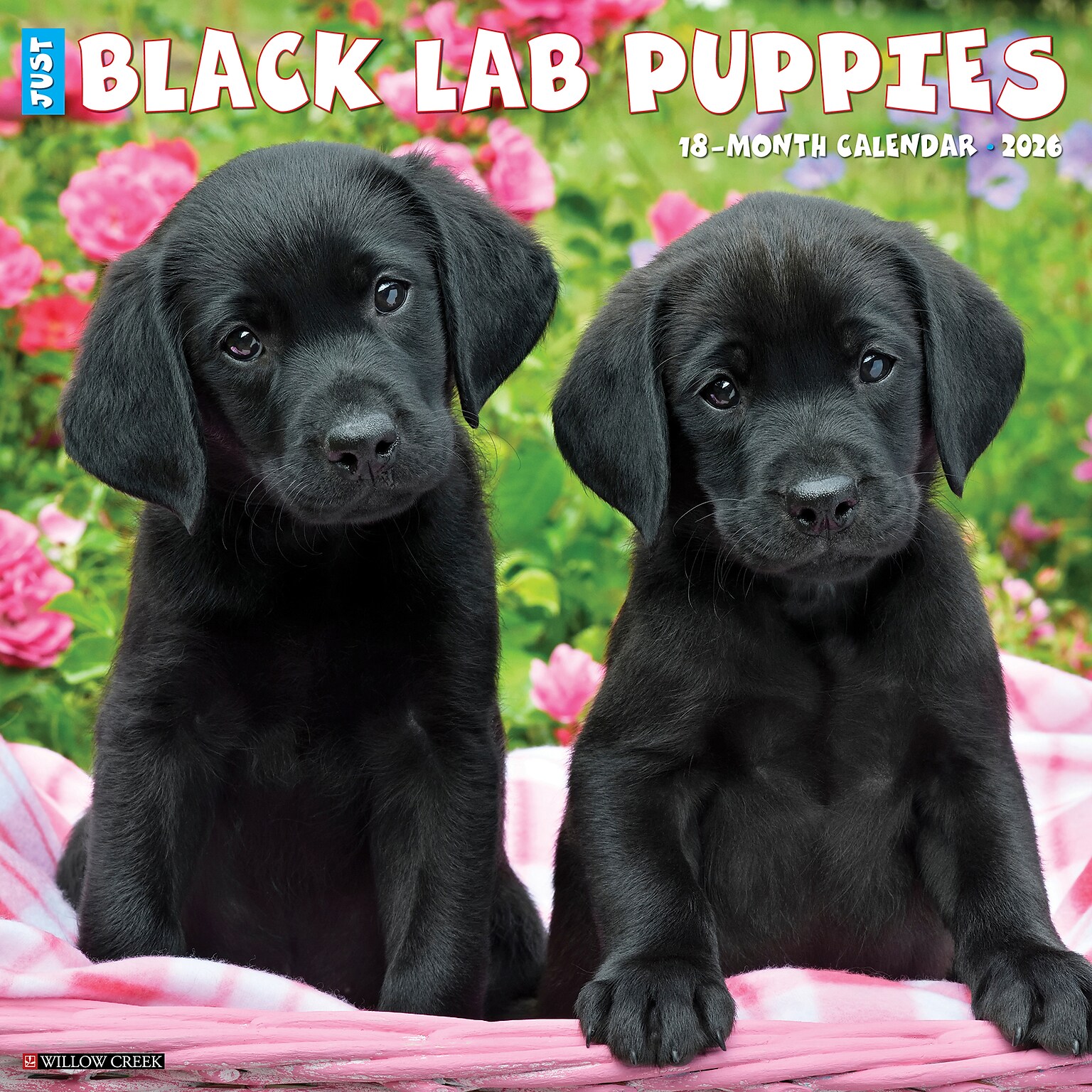 2026 Willow Creek Black Lab Puppies 12 x 12 Monthly Wall Calendar (50309)
