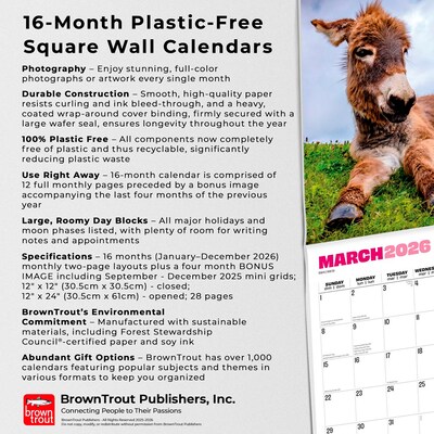 2026 BrownTrout Jackasses 12" x 12" Monthly Wall Calendar (9798330703982)