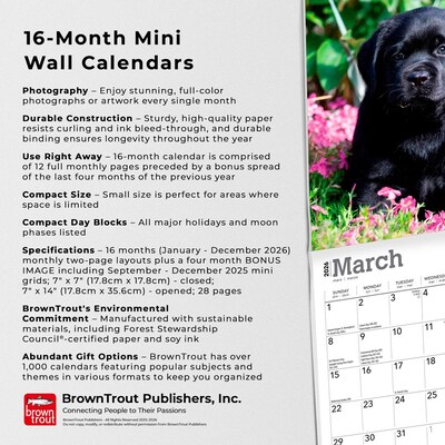 2026 BrownTrout Black Labrador Retriever Puppies 7" x 7" Monthly Wall Calendar (9798330704187)