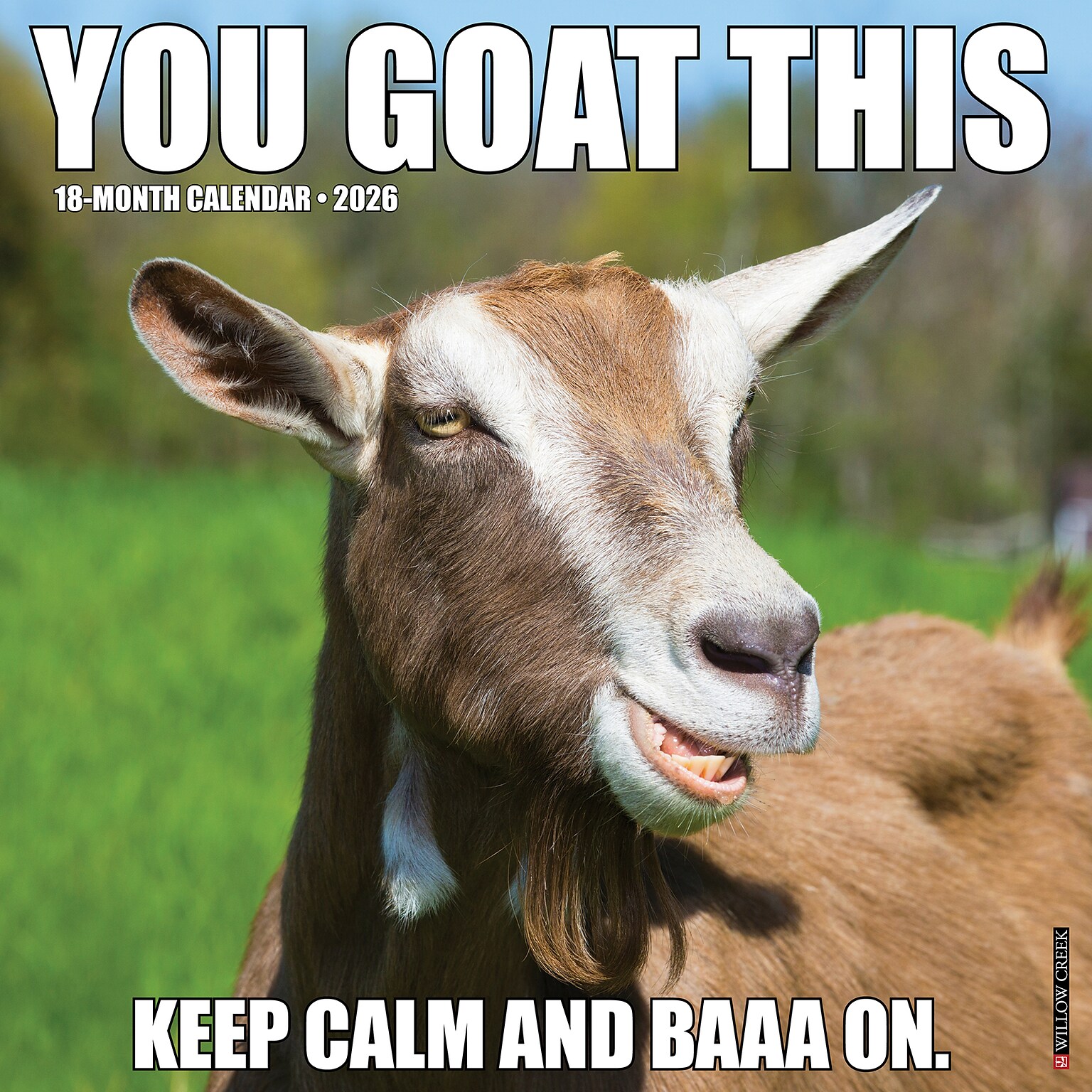2026 Willow Creek You Goat This 12 x 12 Monthly Wall Calendar (53393)