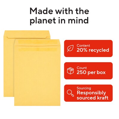 Staples 9 x 12 Self-Seal Catalog Envelopes, Brown Kraft, Heavy-Duty Mailing Envelopes, Secure Peel & Seal Closure, 250/Box