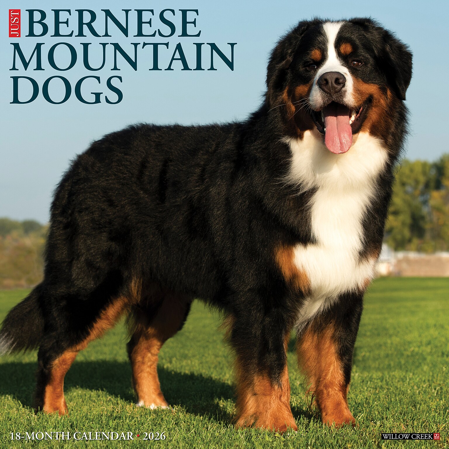 2026 Willow Creek Bernese Mountain Dogs 12 x 12 Monthly Wall Calendar (50187)