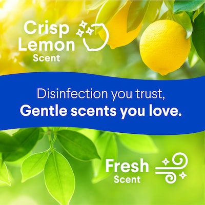 Clorox Disinfecting Wipes, Fresh/Crisp Lemon Scent, 75 Wipes/Container, 3/Pack (30208)
