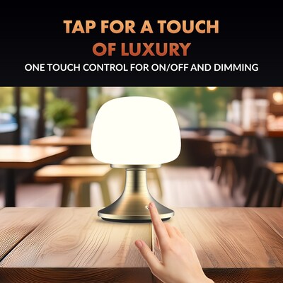 Newhouse Lighting Verona Cordless and Rechargeable Table Lamp, Brass (NHTL-VE-BRS)