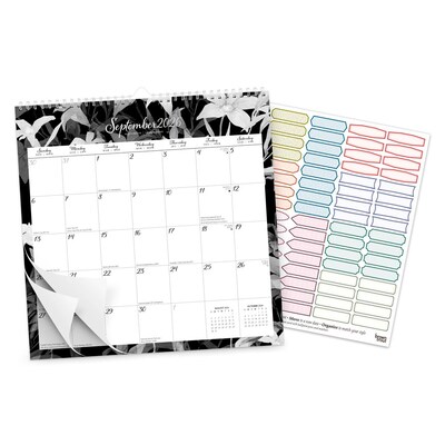 2026 BrownTrout Pen & Ink 12" x 12" Monthly Wall Calendar (9798330705092)