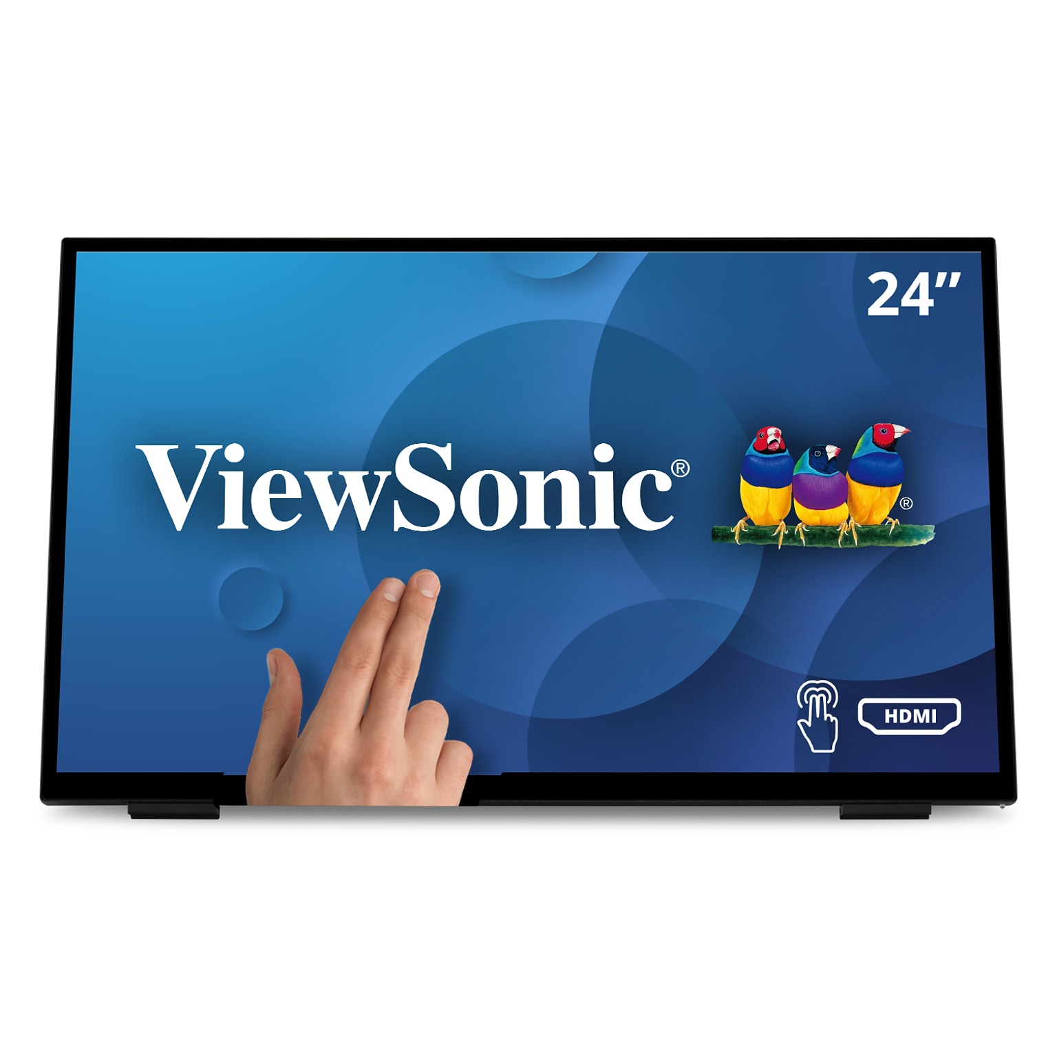 ViewSonic 24 60 Hz LED Monitor, Black (TD2465)