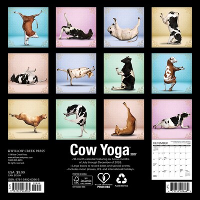 2027 Willow Creek Cow Yoga 7 x 7 Monthly Wall Calendar (63965)