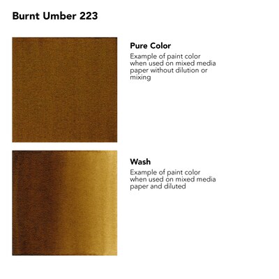 Daler-Rowney FW Acrylic Ink, Burnt Umber, 29.5ml, Pack of 3 (DRW160029223-3)