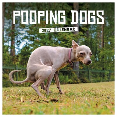 2027 TF Publishing Pooping Dogs 12 x 12 Monthly Wall Calendar, Multicolored (27-1062)