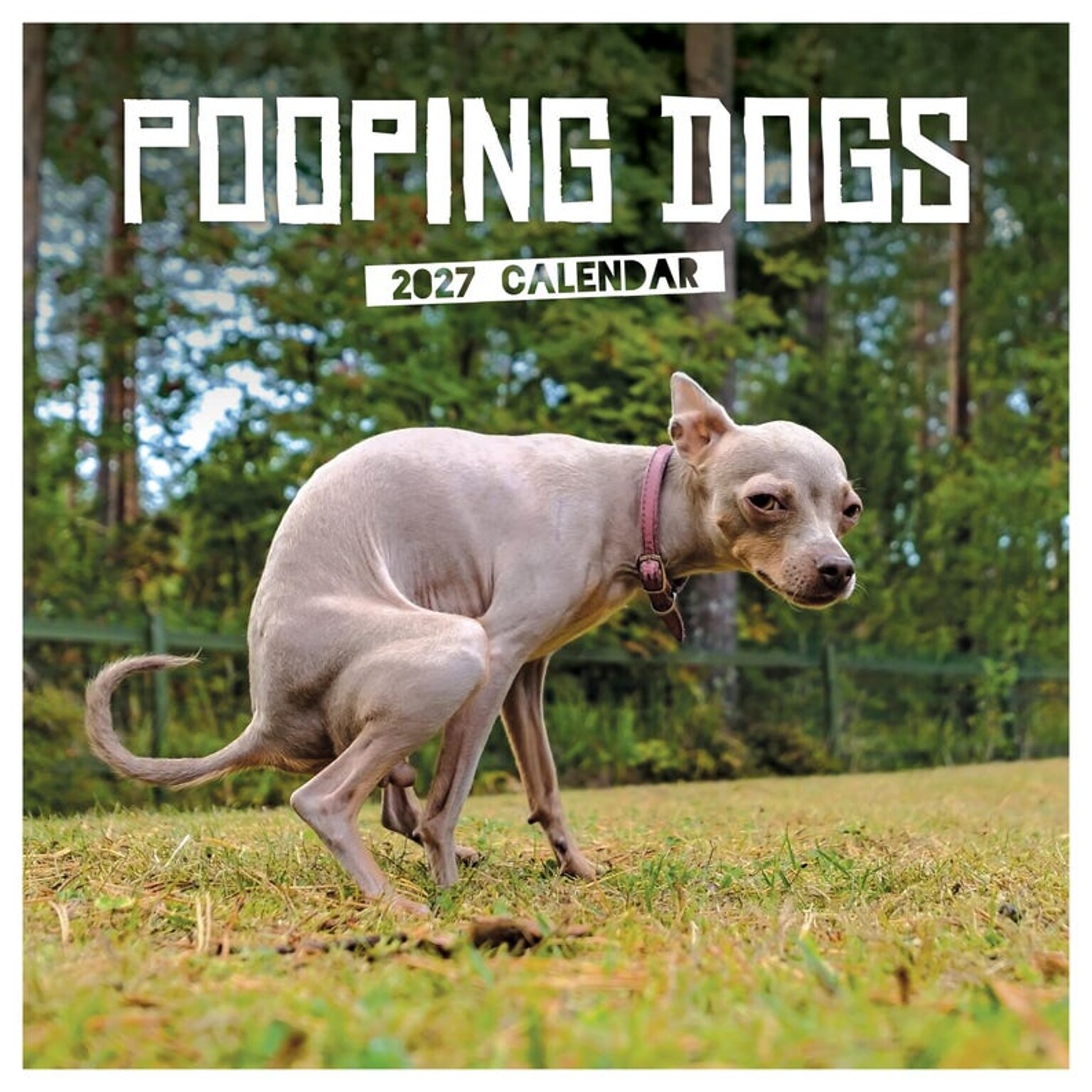 2027 TF Publishing Pooping Dogs 12 x 12 Monthly Wall Calendar, Multicolored (27-1062)