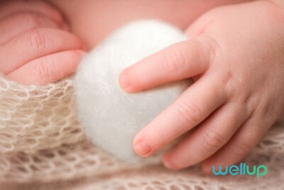 WellUp Regular Cotton Ball, 300/Pack (W11300300)