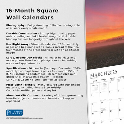 2025 Plato Sunsets 12" x 12" Monthly  Wall Calendar (9781975478865)