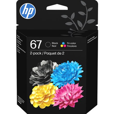HP 67 Black/Tri-Color Standard Yield Ink Cartridge, 2/Pack (3YP29AN#140)