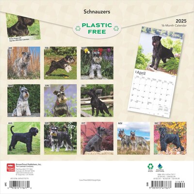 2025 BrownTrout Schnauzers 12 x 24 Monthly Square Wall Calendar (9781975477677)