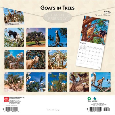 2026 BrownTrout Goats in Trees 12 x 12 Monthly Wall Calendar (9798330703449)
