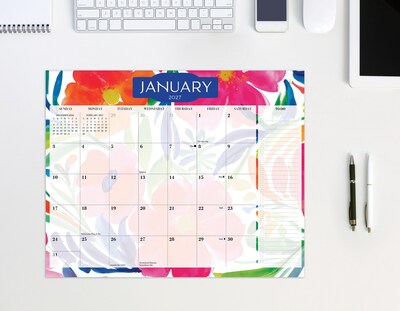 2027 Willow Creek 8" x 10" Monthly Wall Calendar, Assorted Colors (67055)