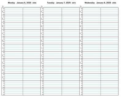 2025 Medical Arts Press® 8 1/2 x 11 2 Column Daily Appointment Log, Blue (3109825)