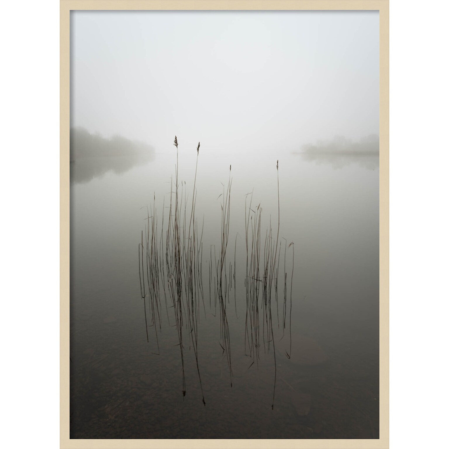 Amanti Art Reeds in the mist by David Ahern Wood Framed Wall Art Print, 30 x 41 (A42677389619)
