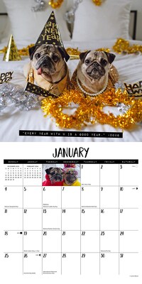 2026 Willow Creek Doug the Pug & Dory 12" x 12" Monthly Wall Calendar (51016)