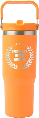 POD SWING HANDLE BRITE 30 OZ