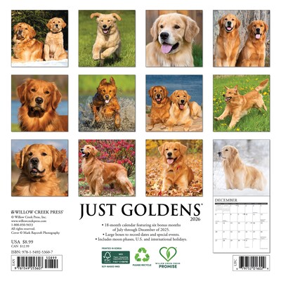 2026 Willow Creek Just Goldens 7 x 7 Monthly Wall Calendar (53607)