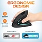 Delton 12 Series Ergonomic Wireless Optical Mouse, Black (DMERG12-WB)