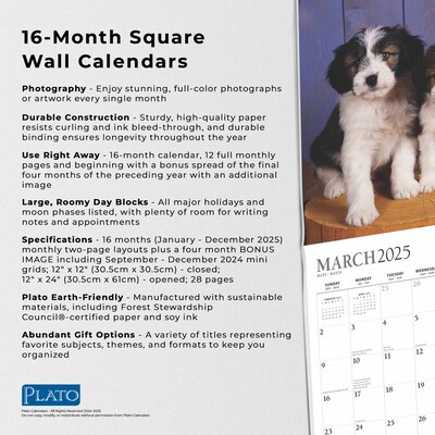2025 Plato Puppy Pals 12" x 12" Monthly Square Wall Calendar (9781975478988)