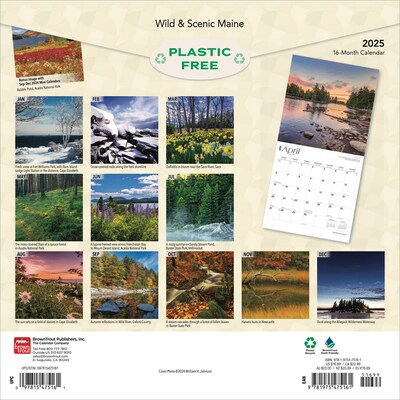 2025 BrownTrout Maine Wild & Scenic 12 x 12 Monthly Square Wall Calendar (9781975475161)