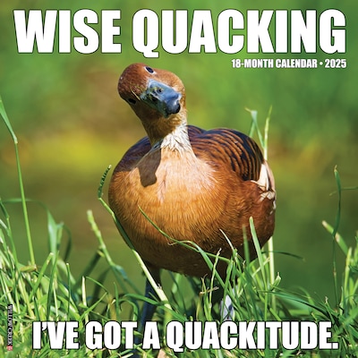 2025 Willow Creek Wise Quacking 12 x 12 Yearly Wall Calendar (46371)