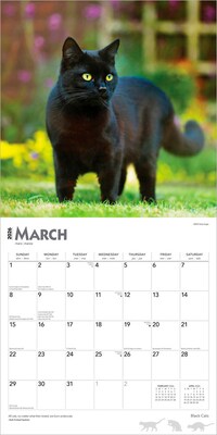 2026 BrownTrout Black Cats 12" x 12" Monthly Wall Calendar (9798330702480)