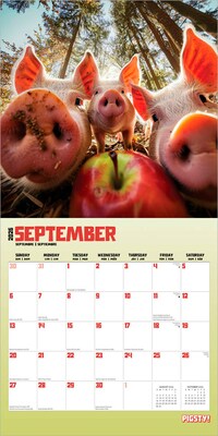 2026 BrownTrout Pigsty 12" x 12" Monthly Wall Calendar (9798330707263)