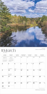 2025 BrownTrout Connecticut Wild & Scenic 12" x 24" Monthly Square Wall Calendar (9781975474720)