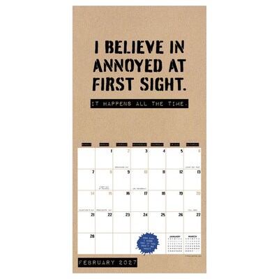 2027 TF Publishing Anti-Affirmations & Sarcasm 7 x 7 Monthly Wall Calendar, Multicolored (27-2100)