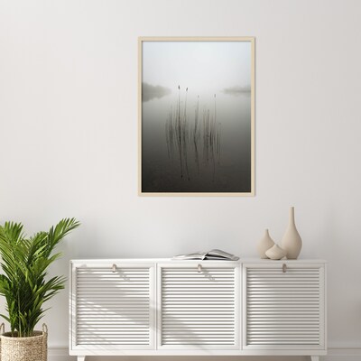 Amanti Art Reeds in the mist by David Ahern Wood Framed Wall Art Print, 30" x 41" (A42677389619)